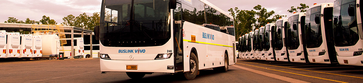 Buslink VIVO