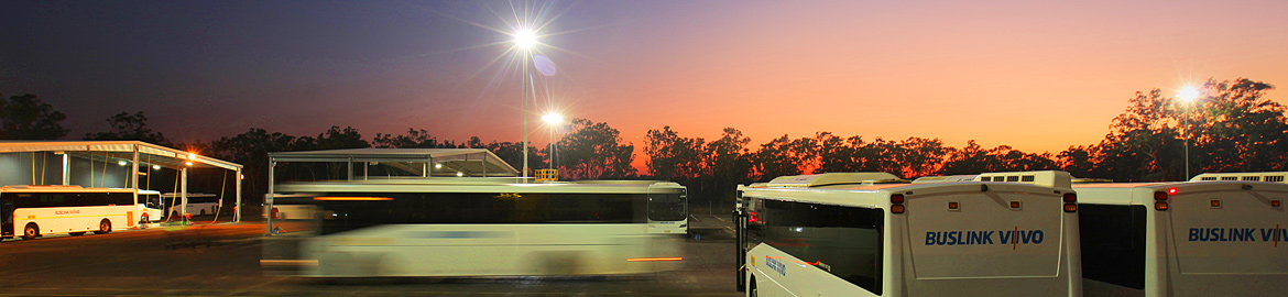 Buslink VIVO