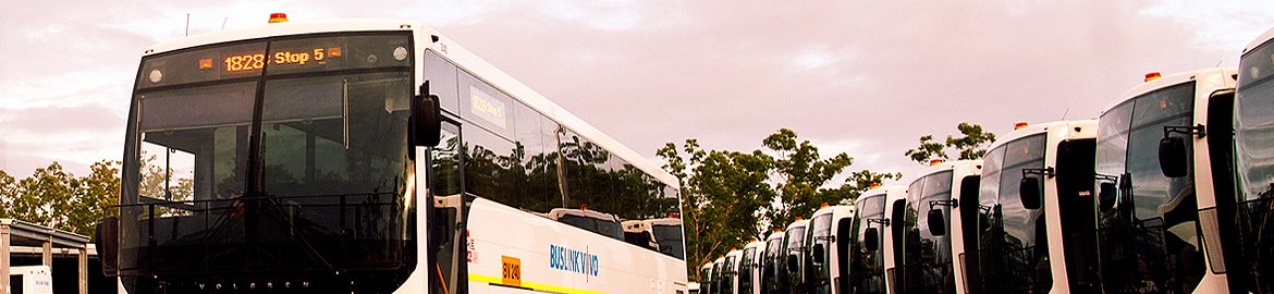 Buslink VIVO