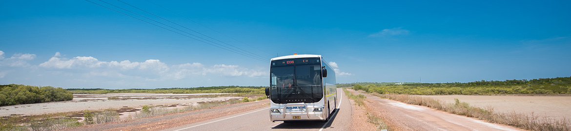 Buslink VIVO