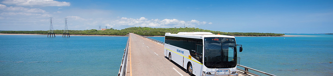 Buslink VIVO