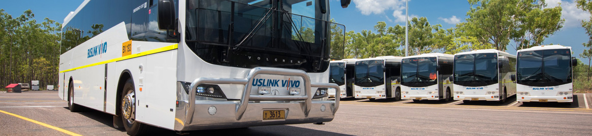 Buslink VIVO