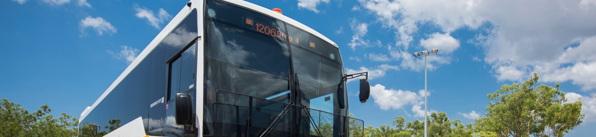 Buslink VIVO